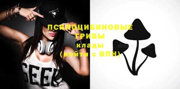 прущая мука Нестеровская