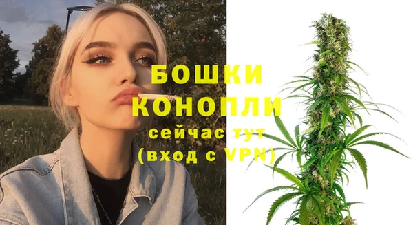 мдпв Фёдоровский