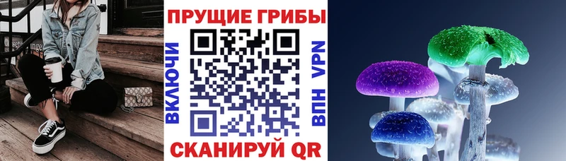 Галлюциногенные грибы Cubensis  Эртиль 
